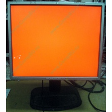Монитор 19" TFT HP 1955 (DVI в Кызыле, USB-хаб) "квадратный" (Кызыл)