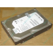 HP 250G 7.2k 432337-001/ 399699-001 / 397377-004 SATA HDD (Кызыл)