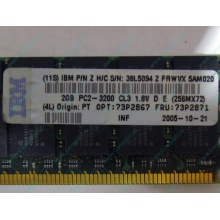 IBM 73P2871 73P2867 2Gb (2048Mb) DDR2 ECC Reg memory (Кызыл)