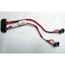 SATA-кабель для корзины HDD HP 451782-001 459190-001 для HP ML310 G5 (Кызыл)