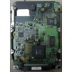 Жесткий диск 18.4Gb Quantum Atlas 10K III U160 SCSI (Кызыл)