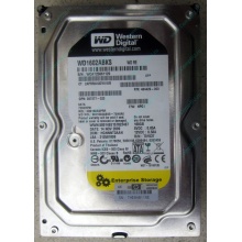 Жесткий диск 160Gb WD WD1602ABKS SATA (Кызыл)