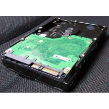 Жесткий диск 600Gb 15k Dell 9FN066-008 6G SAS ( Seagate Cheetach ST3600057SS 15K.7) - Кызыл