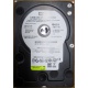Б/У жёсткий диск 400Gb WD WD4000YR Caviar RE2 7200 rpm SATA  (Кызыл)