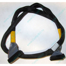 Кабель SCSI HP 166298-037 для HP ML370 G4 (Кызыл)