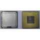 Процессор Intel Celeron D 336 (2.8GHz /256kb /533MHz) SL98W s.775 (Кызыл)
