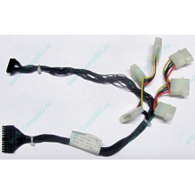 59P4789 FRU 59P4792 в Кызыле, кабель IBM 59P4789 FRU 59P4792 для серверов X225 (Кызыл)