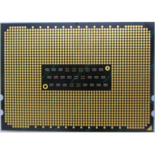 AMD Opteron 6128 OS6128WKT8EGO (Кызыл)