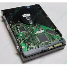 Жесткий диск 80Gb HP 5188-1894 9W2812-630 345713-005 Seagate ST380013AS SATA (Кызыл)