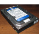 Жесткий диск 500Gb WD WD5000AAKX HP 634605-003 613208-001 7.2k SATA (Кызыл)